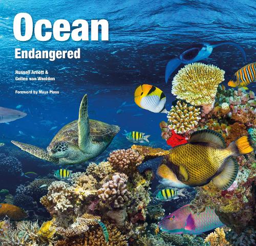 Бумажная книга «Ocean Endangered», авторов Селин Ван Вельден, Рассел Арнотт - фото №1