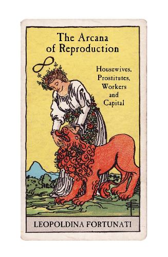 Бумажная книга «The Arcana of Reproduction: Housewives, Prostitutes, Workers and Capital», автор Леопольдина Фортунати - фото №1