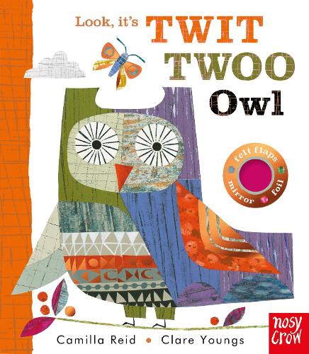 Бумажная книга «Look, It's Twit Twoo Owl», автор Камилла Рейд - фото №1