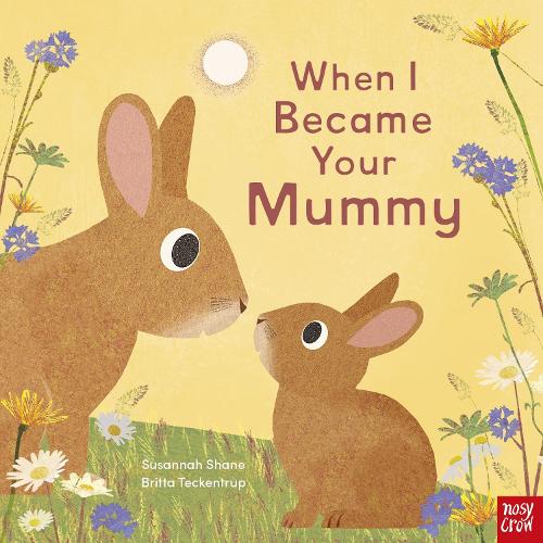 Паперова книга «When I Became Your Mummy», автор Сюзанна Шейн - фото №1