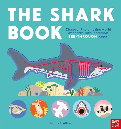 [object Object] «The Shark Book» - фото №1