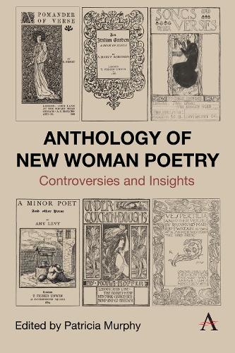 Бумажная книга «Anthology of New Woman Poetry: Controversies and Insights» - фото №1