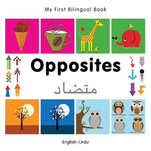 Паперова книга «My First Bilingual Book - Opposites (English-Urdu)», автор Milet Publishing - фото №1