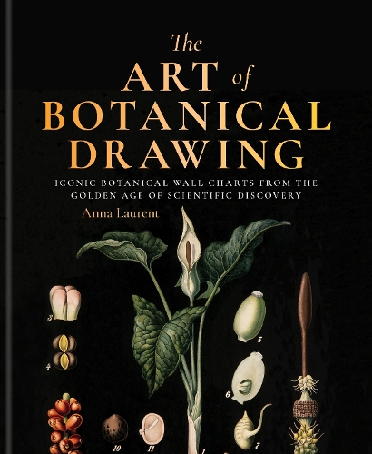 Paper book «The Art of Botanical Painting: Iconic botanical wall charts from the golden age of scientific discovery», author Anna Laurent - фото №1