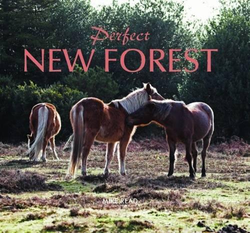 Паперова книга «Perfect New Forest», автор Майк Рі - фото №1