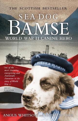 Бумажная книга «Sea Dog Bamse: World War II Canine Hero», авторов Эндрю Орр, Ангус Уитсон - фото №1