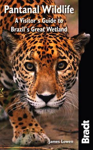 Бумажная книга «Pantanal Wildlife: A Visitor's Guide to Brazil's Great Wetland», автор Джеймс Лоуэн - фото №1