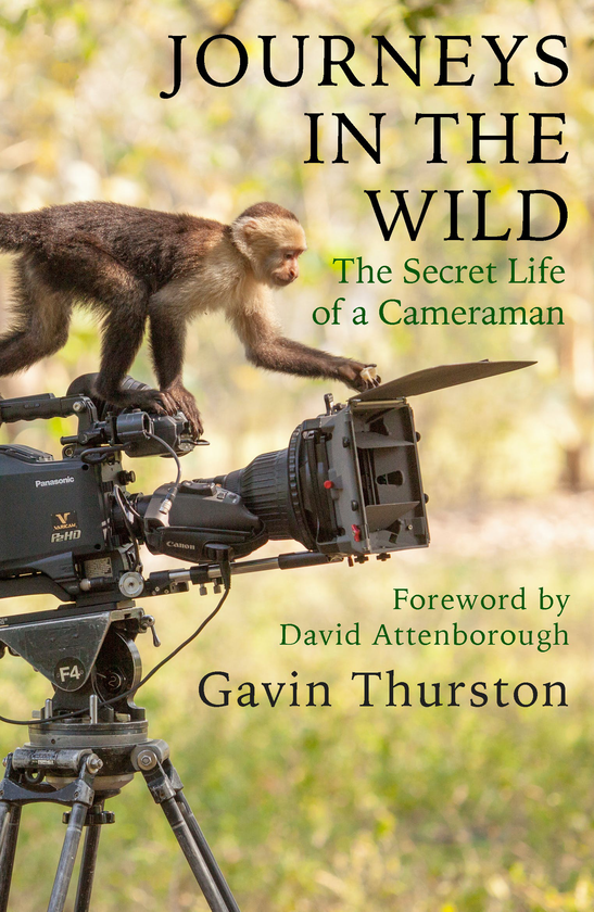 Бумажная книга «Journeys in the Wild. The Secret Life of a Cameraman», автор Гэвин Терстон - фото №1