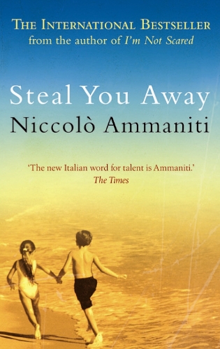 Бумажная книга «Steal You Away», автор Никколо Амманити - фото №1