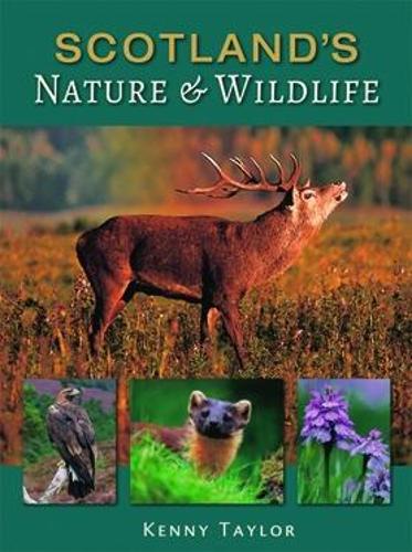 Бумажная книга «Scotland's Nature & Wildlife», автор Кенни Тейлор - фото №1