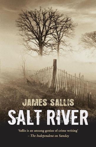 Бумажная книга «Salt River», автор Джеймс Саллис - фото №1