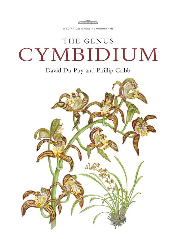 Паперова книга «Genus Cymbidium» - фото №1