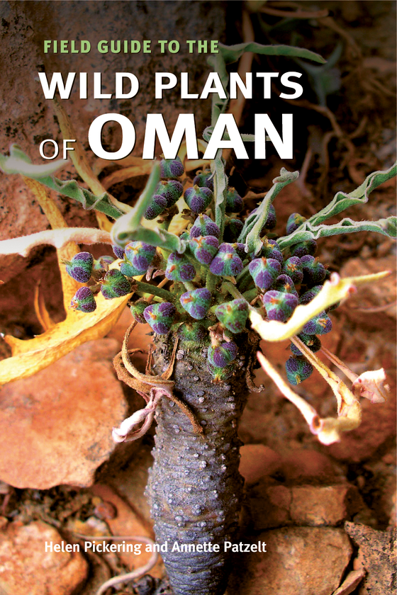 Бумажная книга «Field Guide to the Wild Plants of Oman» - фото №1