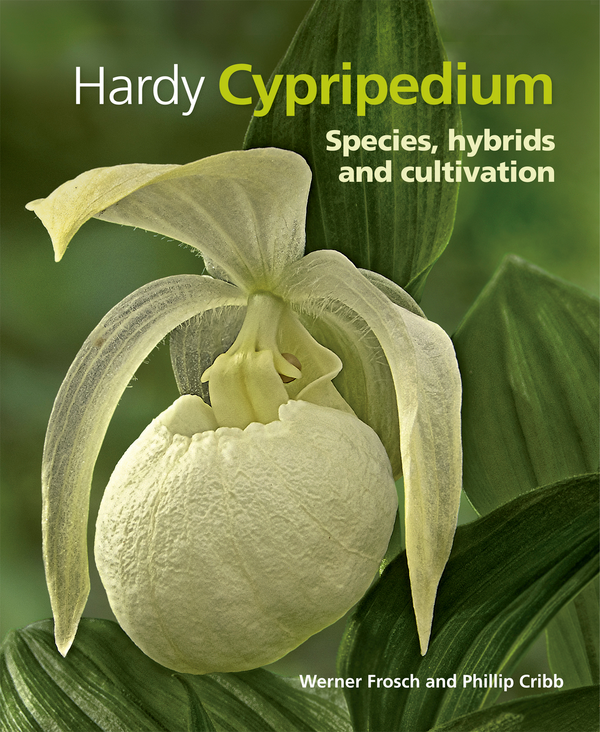 Паперова книга «Cypripedium» - фото №1