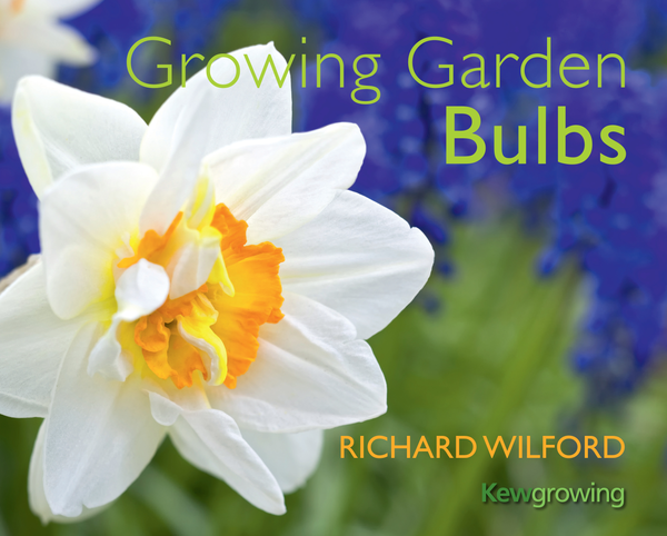Паперова книга «Growing Garden Bulbs» - фото №1