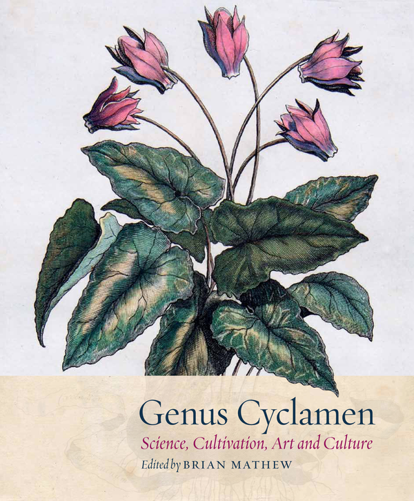 Паперова книга «Cyclamen» - фото №1