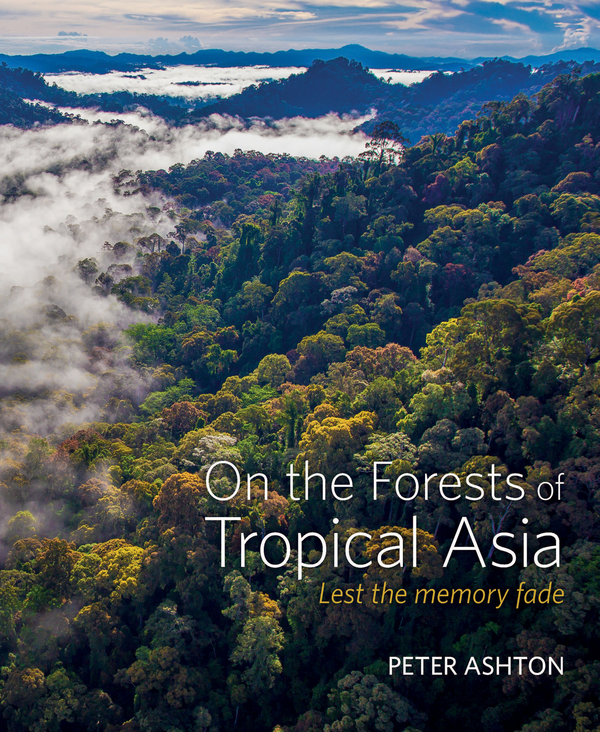 Бумажная книга «On the Forests of Tropical Asia» - фото №1