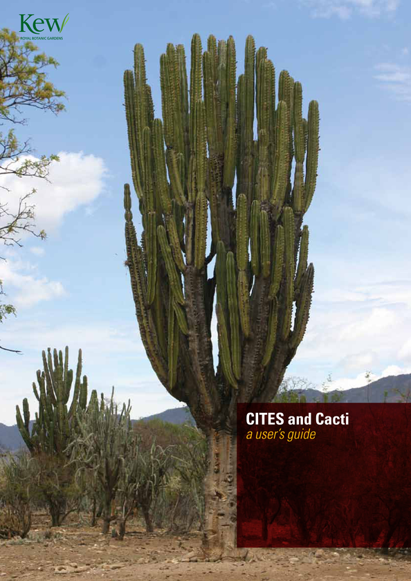Паперова книга «CITES and Cacti» - фото №1