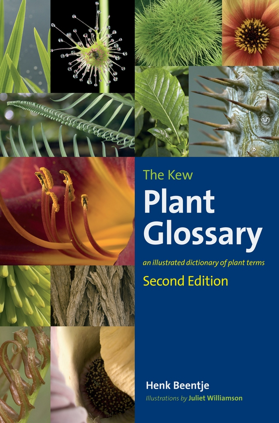 Бумажная книга «Kew Plant Glossary, The» - фото №1