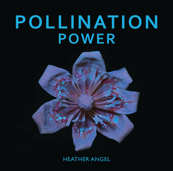 Паперова книга «Pollination Power» - фото №1