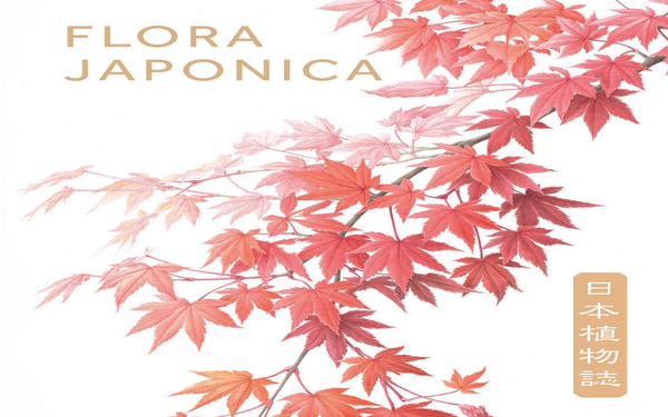 Бумажная книга «Flora Japonica» - фото №1