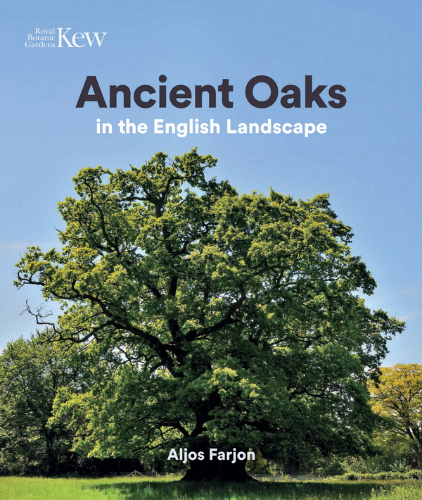 Паперова книга «Ancient Oaks» - фото №1
