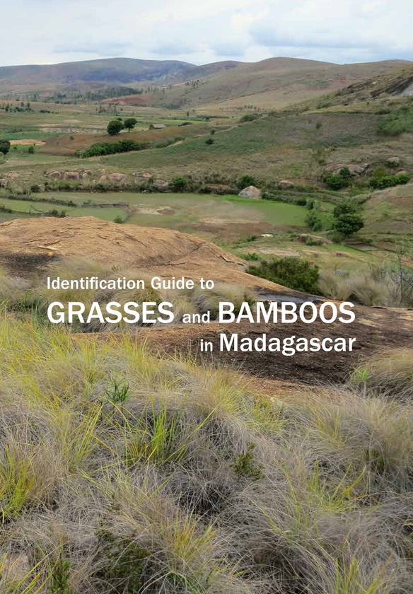 Бумажная книга «Identification Guide to Grasses and Bamboos in Madagascar» - фото №1