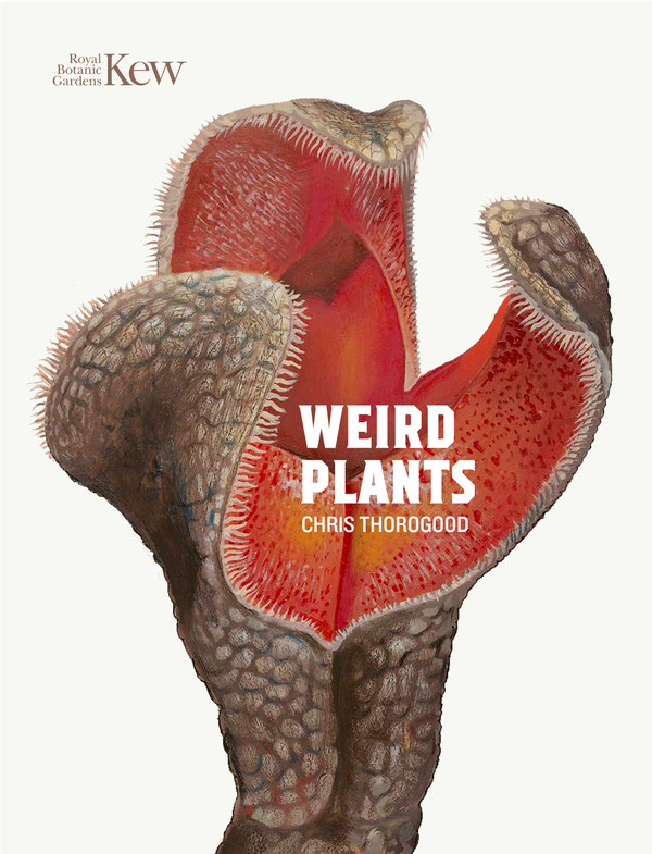 Паперова книга «Weird Plants» - фото №1