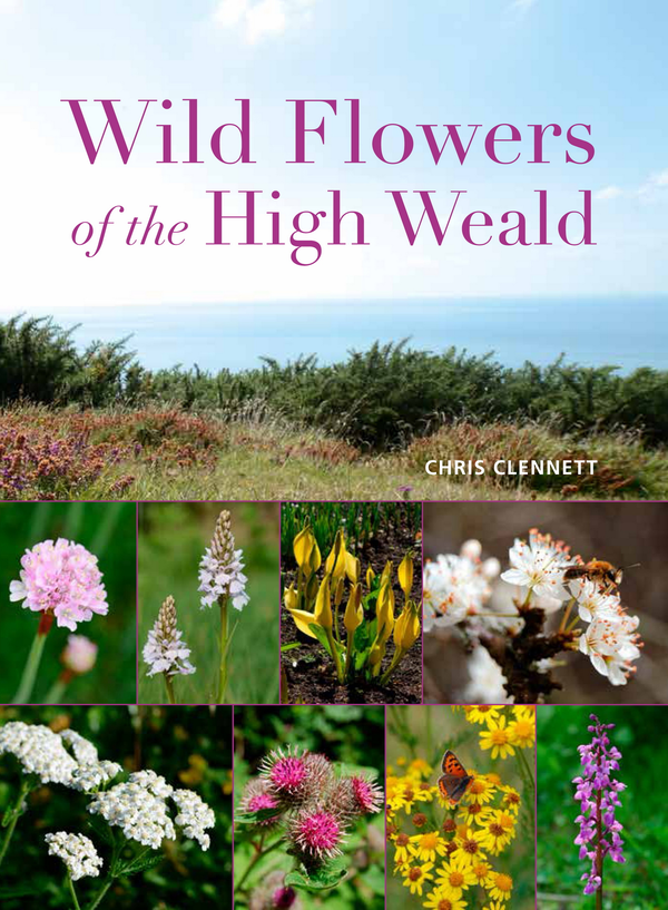 Бумажная книга «Wild Flowers of the High Weald» - фото №1