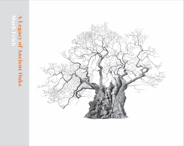 Паперова книга «A Legacy of Ancient Oaks» - фото №1