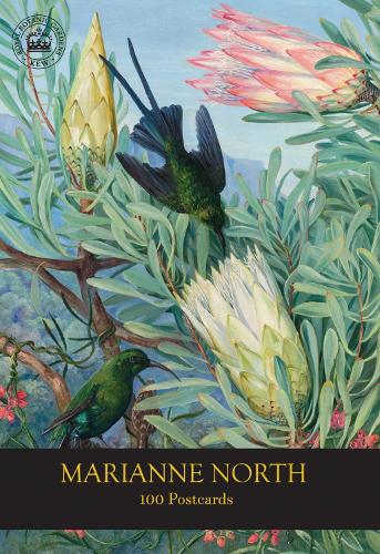 Бумажная книга «Marianne North 100 Postcards», автор Королевский ботанические сады в Кью - фото №1