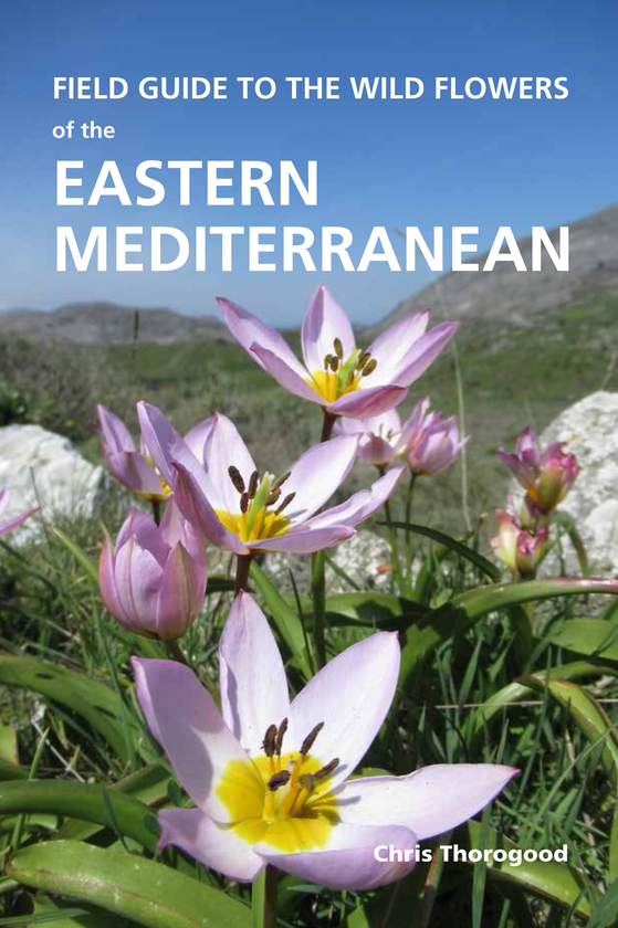 Паперова книга «Field Guide to the Wild Flowers of the Eastern Mediterranean» - фото №1
