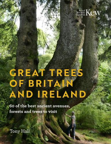 Бумажная книга «Great Trees of Britain and Ireland: 60 of the best ancient avenues, forests and trees to visit», автор Тони Холл - фото №1