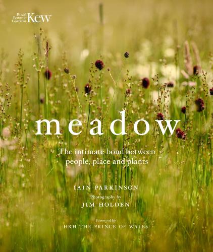 Бумажная книга «Meadow: The intimate bond between people, place and plants», автор Иэн Паркинсон - фото №1
