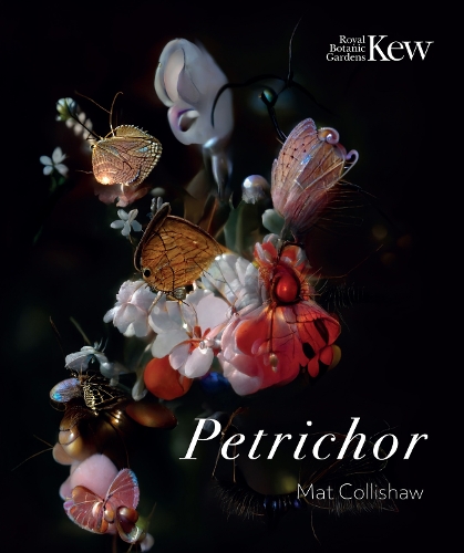 Бумажная книга «Petrichor», автор Мэт Коллишоу - фото №1