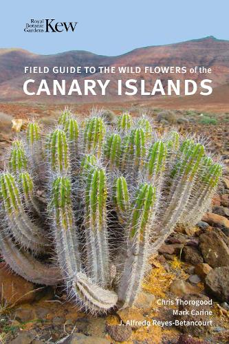 Бумажная книга «Field Guide to the Wild Flowers of the Canary Islands», автор Крис Торогуд - фото №1