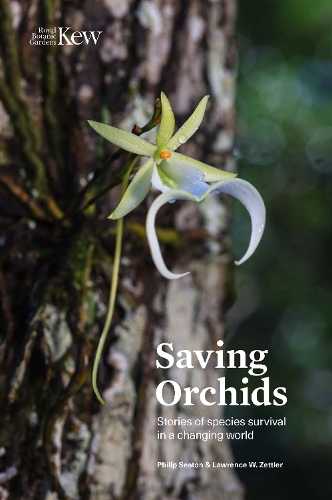 Бумажная книга «Saving Orchids: Stories of species survival in a changing world», авторов Лоуренс Зеттлер, Филип Ситон - фото №1