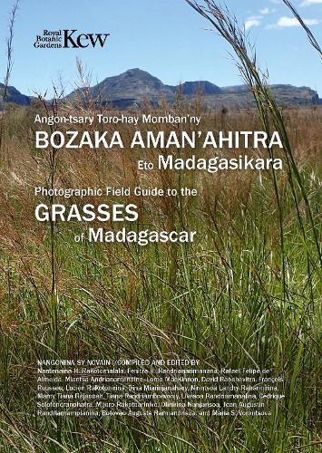 Бумажная книга «Field Guide of Common Grasses of Madagascar», авторов Фенитра Рандрианариманана, Нантенаина Ракотомалала - фото №1