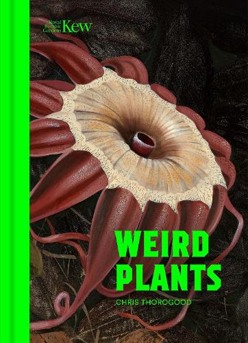 Паперова книга «Weird Plants», автор Кріс Торогуд - фото №1