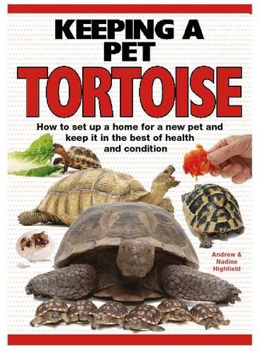 [object Object] «Keeping a Pet Tortoise», авторів A.К. Хайфілд, Надін Хайфілд - фото №1