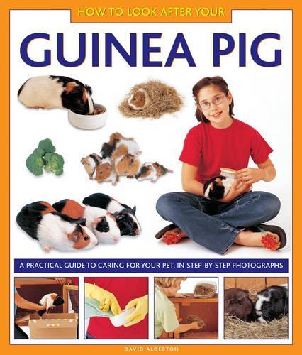 Бумажная книга «How to Look After Your Guinea Pig», автор Дэвид Олдертон - фото №1