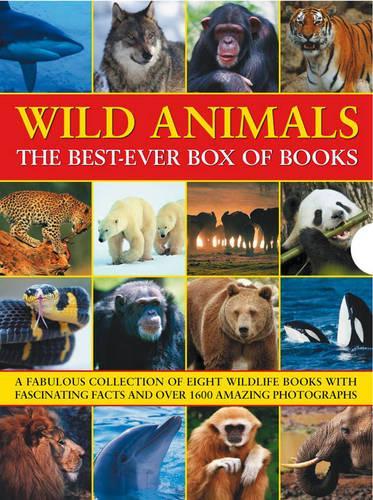 Паперова книга «Wild Animals Best Ever Box of Books», автор Барбара Тейлор - фото №1