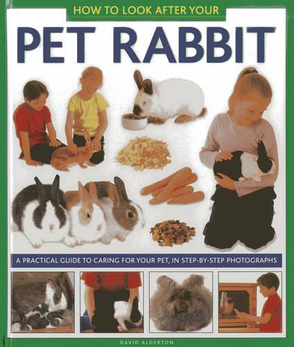 Бумажная книга «How to Look After Your Pet Rabbit», автор Дэвид Олдертон - фото №1