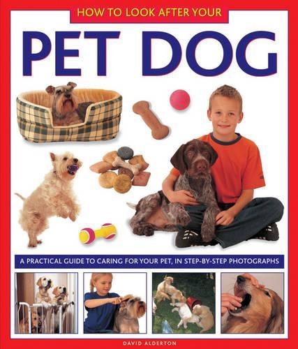 Бумажная книга «How to Look After Your Pet Dog», автор Дэвид Олдертон - фото №1