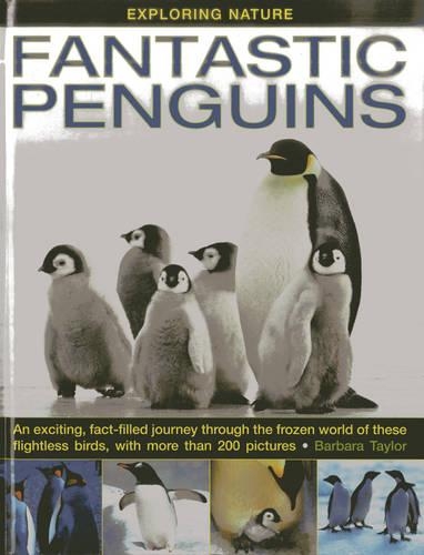 Paper book «Exploring Nature: Fantastic Penguins: An Exciting, Fact-filled Journey Through the Frozen World of These Flightless Birds, with More Than 200 Pictures», author Barbara Taylor - фото №1