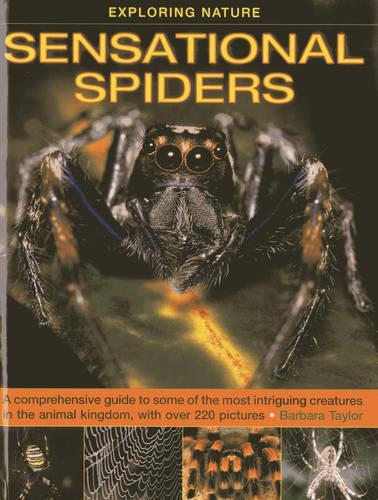 [object Object] «Exploring Nature: Sensational Spiders: A Comprehensive Guide to Some of the Most Intriguing Creatures in the Animal Kingdom, with Over 220 Pictures», автор Барбара Тейлор - фото №1