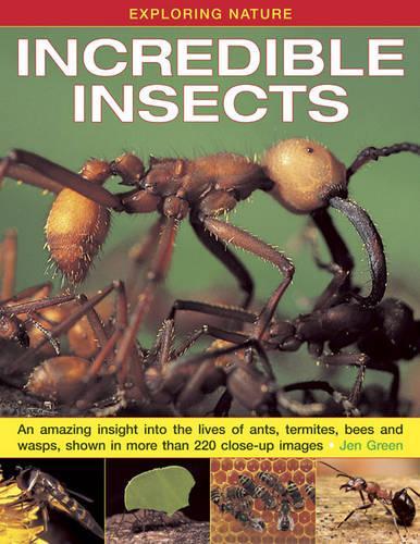 Бумажная книга «Exploring Nature: Incredible Insects: An Amazing Insight into the Lives of Ants, Termites, Bees and Wasps, Shown in More Than 220 Close-up Images», автор Джен Грин - фото №1