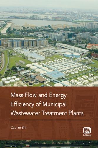 Бумажная книга «Mass Flow and Energy Efficiency of Municipal Wastewater Treatment Plants», автор Цао Е Ши - фото №1