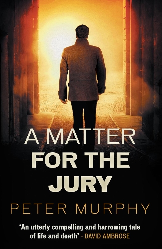 Паперова книга «A  Matter for the Jury», автор Пітер Мерфі - фото №1