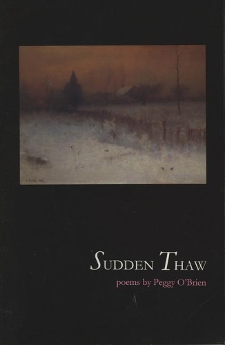 Бумажная книга «Sudden Thaw», автор Пегги О'Брайен - фото №1